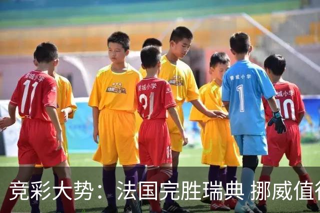 竞彩大势：法国完胜瑞典 挪威值得信任